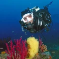 SP_25376x00_jet_fin_camo_0494.webp