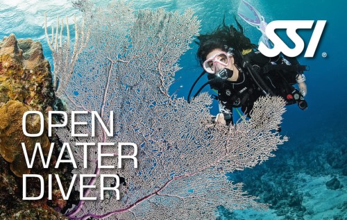 Kurs Open Water Diver kraków SSI.jpg