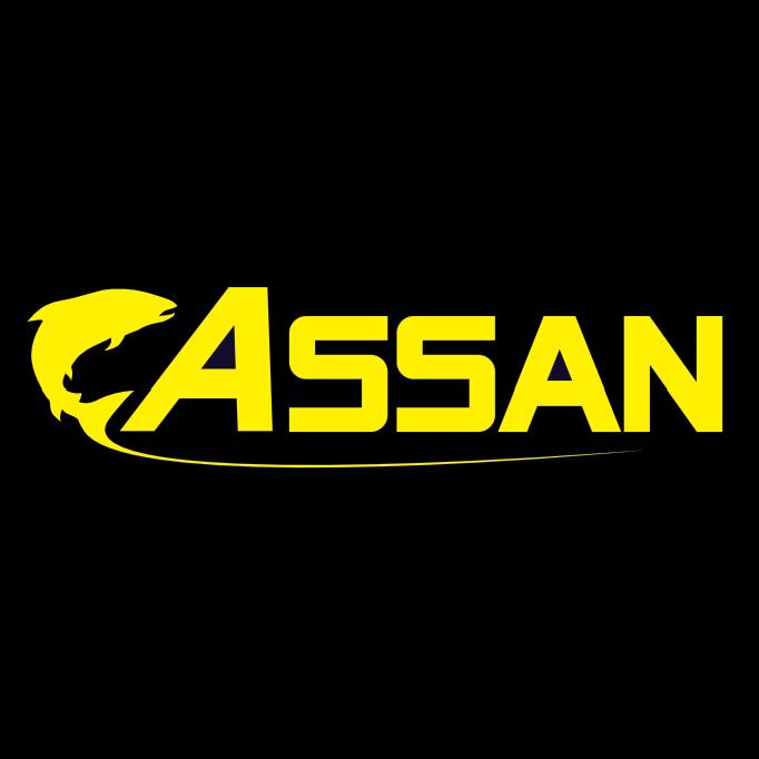 Assan